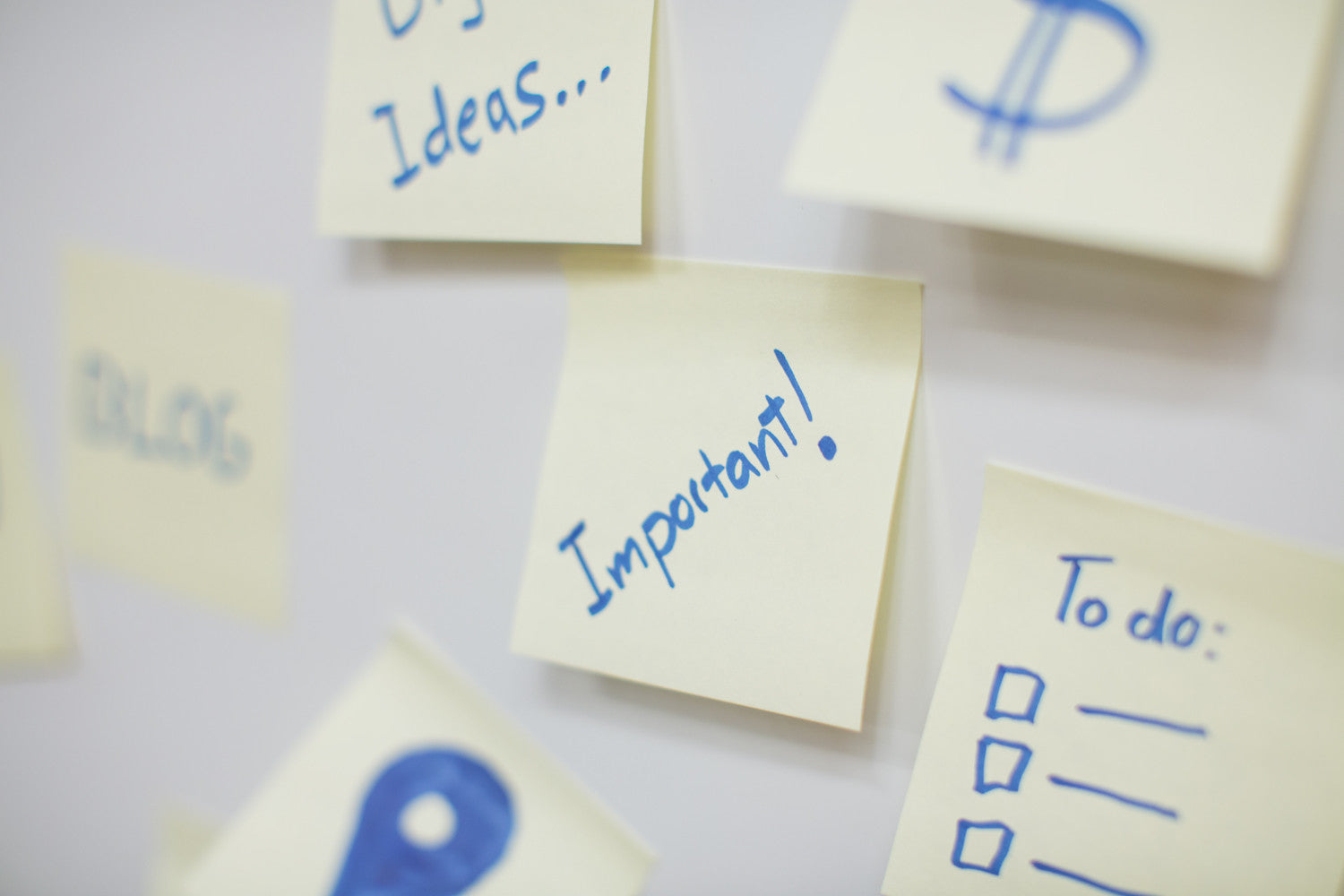 The Difference of One-The Key Ingredient for Making the Greatest Impact